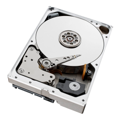 HD10TB-S-AI