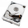 HD10TB-S-AI