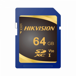 HS-SD-P10STD-64G
