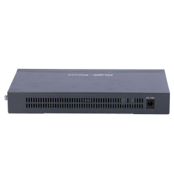 RG-EG210G-P