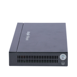 RG-EG210G-P
