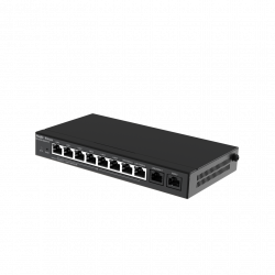 RG-EG310GH-P-E