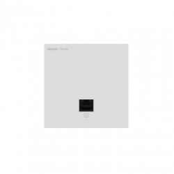 RG-RAP1261