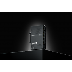 TSW010