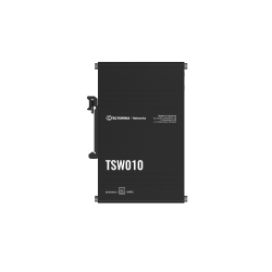 TSW010