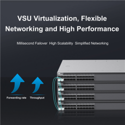 RG-24VS-LIC - S6150-24 ports 25G license