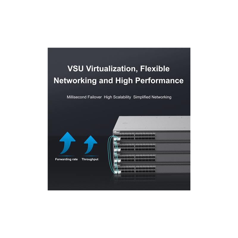 RG-24VS-LIC - S6150-24 ports 25G license