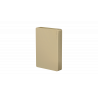 RG-RAP1260 Gold cover