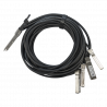 Q+BC0003-S+ Q+BC0003-S+