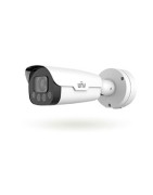 IP cameras